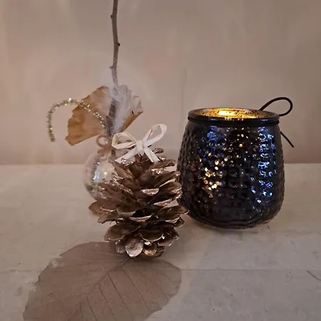 Domaine Au Fil Du Temps Ohey